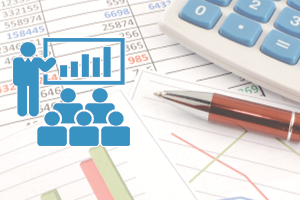 Sabiedriski nozīmīgu struktūru revīzijas īpatnības